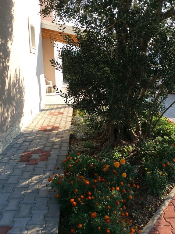 ביבינייה Apartments Franov מראה חיצוני תמונה